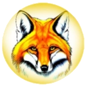 Радио Лисица